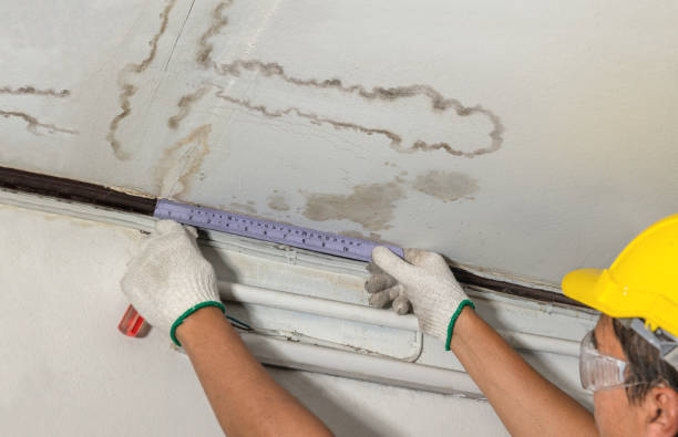 Affordable Water Damage Repair solutions in Alleyton, TX